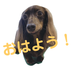 [LINEスタンプ] はじめまして！そらだよ！