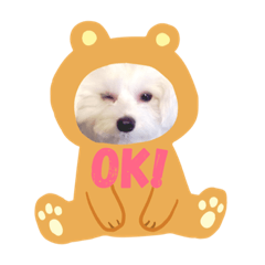[LINEスタンプ] ぴぃの顔スタンプ2