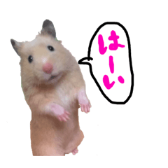 [LINEスタンプ] めるちゃん 2