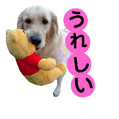 [LINEスタンプ] 上原家のラブちゃん