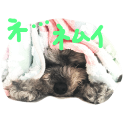 [LINEスタンプ] といぷーあぽち