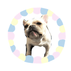 [LINEスタンプ] フレブル ジョン