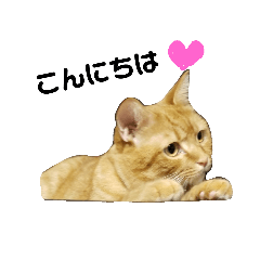 [LINEスタンプ] ブシくん