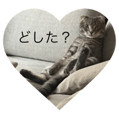 [LINEスタンプ] ローマムスタンプ