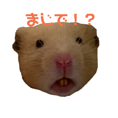[LINEスタンプ] 玉三郎の日々