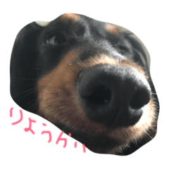 [LINEスタンプ] カニヘンぽん太