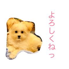 [LINEスタンプ] そぼろスタンプ 2