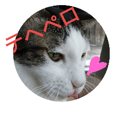 [LINEスタンプ] 靴下戦隊02