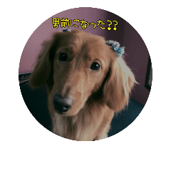 [LINEスタンプ] サンゴ＆イチゴ