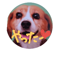 [LINEスタンプ] ぽんずが届けるあなたの気持ち