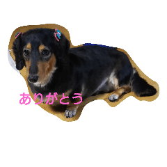 [LINEスタンプ] もも0122