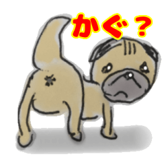 [LINEスタンプ] 手描きパグ