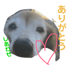 [LINEスタンプ] 日常stamp‼︎