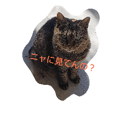 [LINEスタンプ] 平和な動物たち