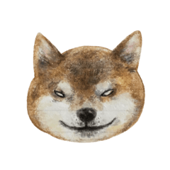 [LINEスタンプ] 柴犬と三毛