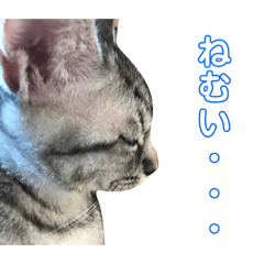 [LINEスタンプ] わがやの