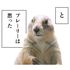 [LINEスタンプ] 日常で使えるプレーリードッグ4