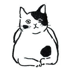 [LINEスタンプ] Yy's cat 洋于のネコ-のんびり猫