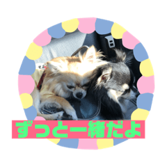 [LINEスタンプ] チワワ ラブラブ編