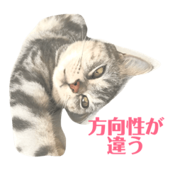 [LINEスタンプ] 仕事モード