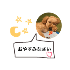 [LINEスタンプ] なかち