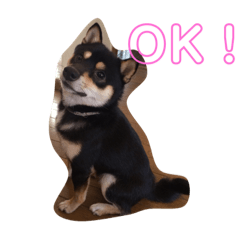 [LINEスタンプ] てつぞう君