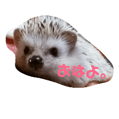 [LINEスタンプ] 針丸ファミリーの日常