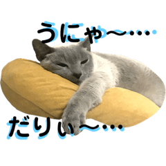 [LINEスタンプ] トンキニーズのカフェにゃん王子