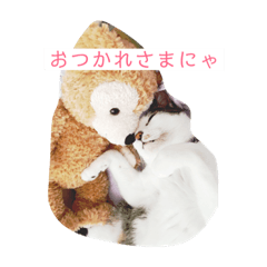 [LINEスタンプ] 保護猫 ごまとうめの日常