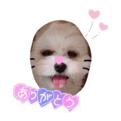 [LINEスタンプ] まろんくん！