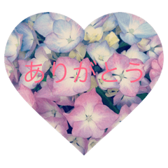 [LINEスタンプ] はなとことば