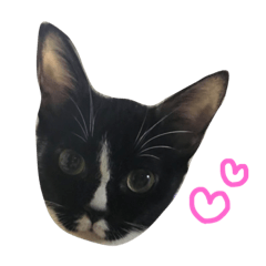 [LINEスタンプ] ミクとふらん