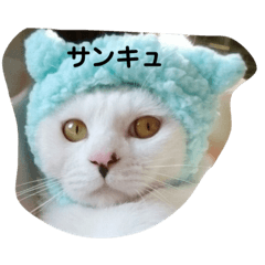 [LINEスタンプ] てつ  二才記念 はじめまして