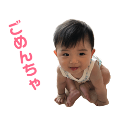 [LINEスタンプ] 我が家のお宝