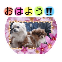[LINEスタンプ] 小針スタンプ