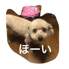 [LINEスタンプ] 気合いZEROのりゅう