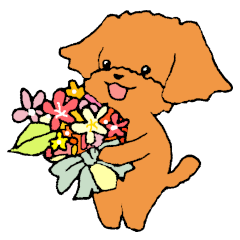 [LINEスタンプ] ほんわか癒しのトイプードルスタンプ