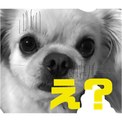 [LINEスタンプ] リッツ2