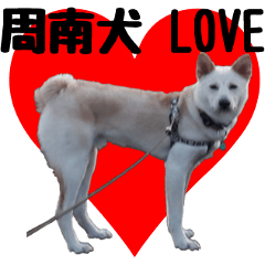 [LINEスタンプ] 周南犬 LOVEの画像（メイン）
