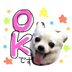 [LINEスタンプ] ティンクピンクワンワン