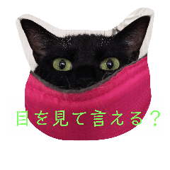 [LINEスタンプ] にゃんこ、ごくたま～にほかの。