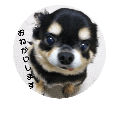 [LINEスタンプ] 海くんの一言:3