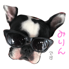 [LINEスタンプ] 我がペット達