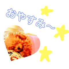 [LINEスタンプ] トイプートイプートイプー