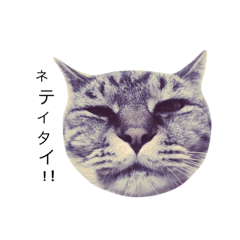 [LINEスタンプ] ネテイタイ