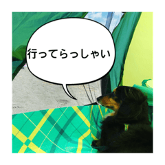 [LINEスタンプ] プルートスタンプ②