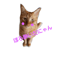 [LINEスタンプ] 黒姫と銀汰と桜汰