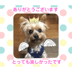 [LINEスタンプ] こころのこころ
