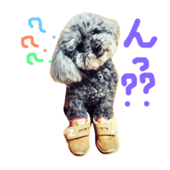 [LINEスタンプ] といぷーあぽち 2