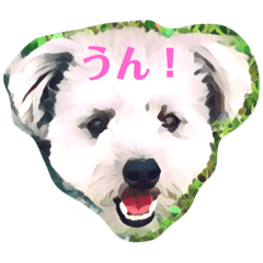 [LINEスタンプ] ポメプー くーちゃん